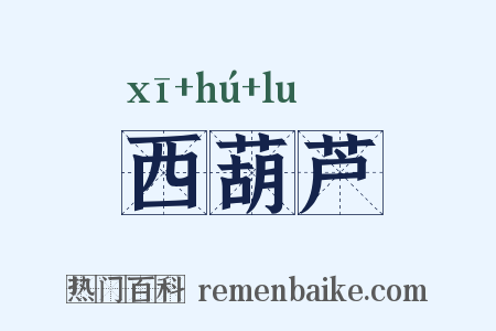 西葫芦是什么意思的图片